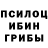 Псилоцибиновые грибы мицелий Arham Legend