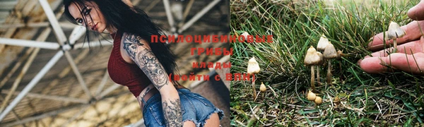 прущий лед Нягань
