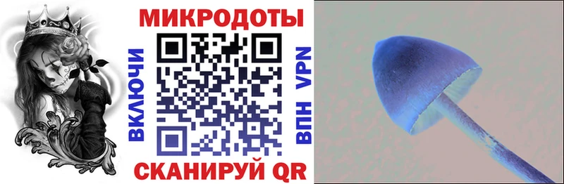 kraken ссылки  Бородино  Галлюциногенные грибы прущие грибы 